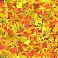 autumn leaves N158