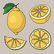 Isolated lemons Graphic stylized drawing N3