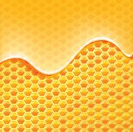 honeycomb N6