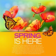 Beautiful Spring background N18