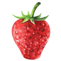 Watercolor strawberry closeup isolated