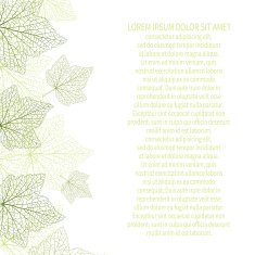 Vector background Green leaves with veins N2