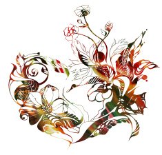 Flowers drawn in ink on old paper N34