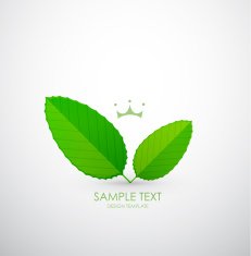green leaves background N19