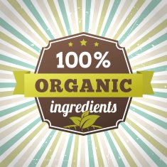 hundred percent organic ingredients eco label vector poster N2