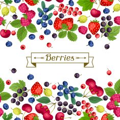 Seamless nature pattern with berries N5