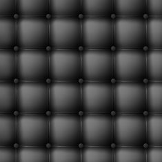 Leather upholstery Seamless N2