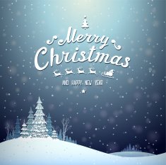 Christmas and New Year's Greeting Card N14