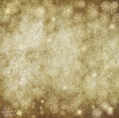 Christmas vintage background N5