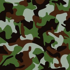 army uniform pattern N2