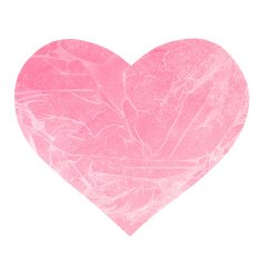 Watercolor pink heart isolated N2