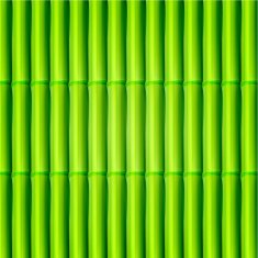 Vector bamboo background Eps10 N2