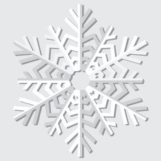 Snowflakes Vector illustration N15
