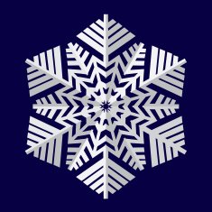 Snowflakes Vector illustration N16