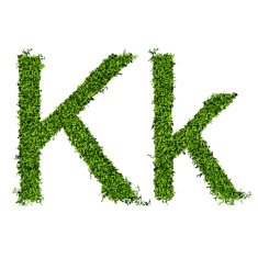 Isolated grass alphabet N20