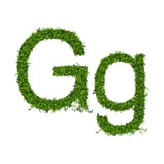Isolated grass alphabet N21