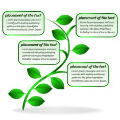 Banner plant N2