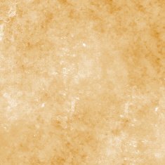 Grunge Background N1146