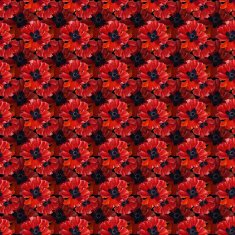 Seamless pattern with watercolor poppies N2