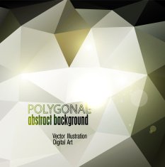 Abstract colorful polygonal background N14