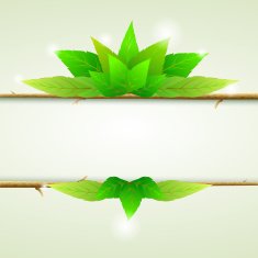 Green leaves ecology background N2