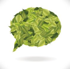 leaves dialog N2