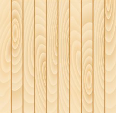 Vector wood plank background N12