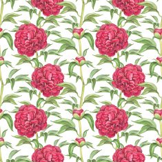 Seamless pattern with peony flowers