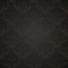 soft black N2