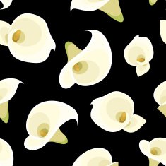 Seamless pattern with white calla lilies on black Vector illustration