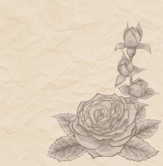 Vintage background rose in corner of mint old paper N2