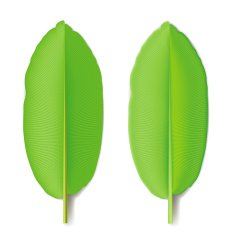 Banana Leaf N2