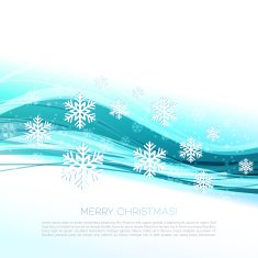 Merry Christmas greeting card with snowflakes N15
