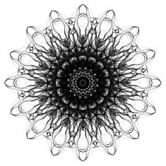 Mandala Decorative hand drawn lace pattern N41
