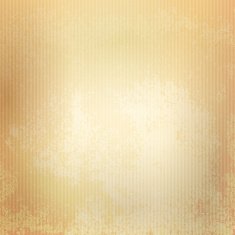 Vintage grunge texture paper background N22