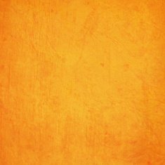 Grunge vector background N113