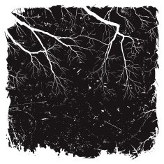 Grunge Background with Branches