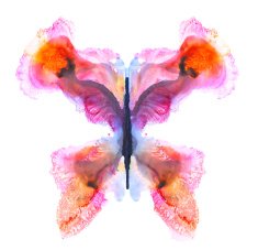 Abstract Painted Butterfly N2