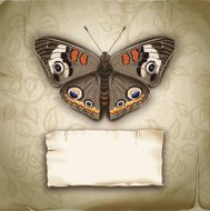 Vintage Damask Background With Label and Butterfly