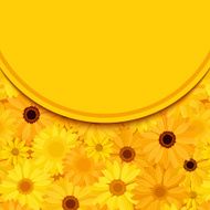 Invitation card with yellow and orange gerbera flowers Vector eps-10