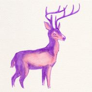 Painted watercolor deer