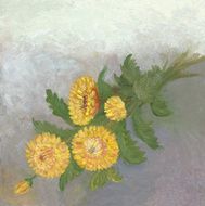 Yellow flowers arrangement