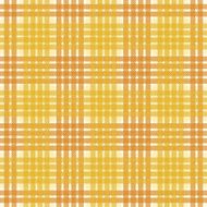 Checked seamless pattern N69