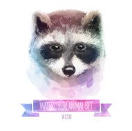 Vector set of watercolor illustrations Cute raccoon N2