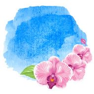 watercolor background N448