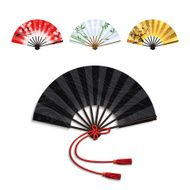 Folding Fan Set N2