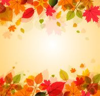 Autumn N131