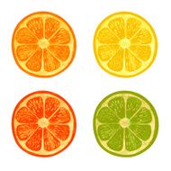 Watercolor set citrus slices Lemon grapefruit orange lime isolated