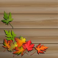 autumn leaves N160