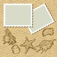 Vintage background with old postcards and seashells